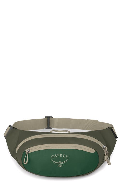 Shop Osprey Daylite Waist Pack In Green Canopy/green Creek