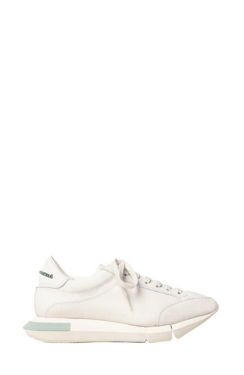 Lisieux Sneaker in White/Gesso-Jadite