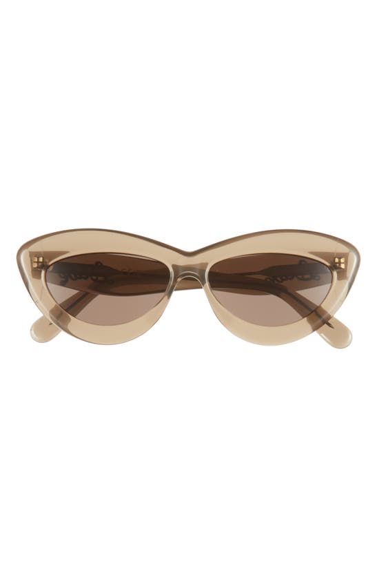 Loewe Curvy Logo 54mm Cat Eye Sunglasses In Transparent Khaki | ModeSens