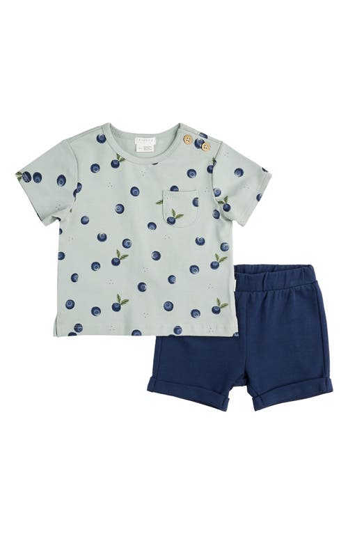 FIRSTS by Petit Lem Blueberry Print T-Shirt & Shorts Set Blue Light at Nordstrom,