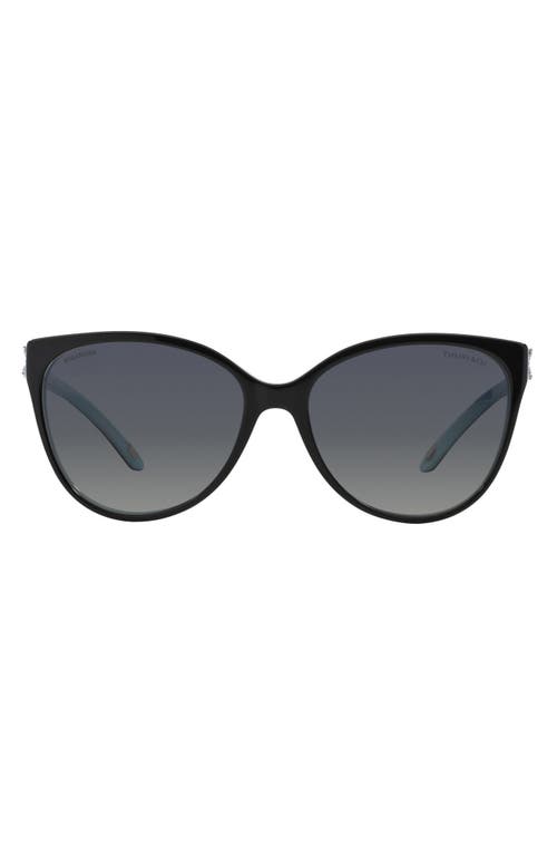 Tiffany & Co. 58mm Polarized Cat Eye Sunglasses in Black/Blue/Black Gradient at Nordstrom