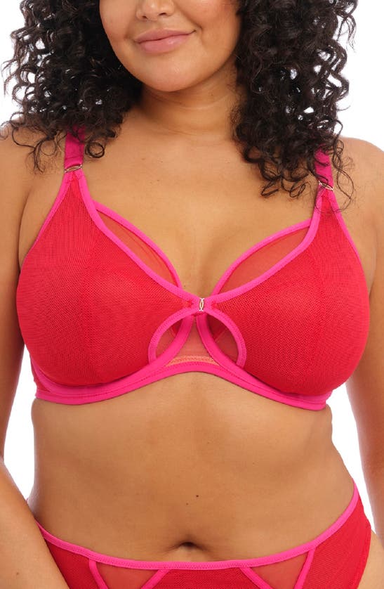 Elomi Kintai Full Coverage Mesh Underwire Bra In Cha Cha