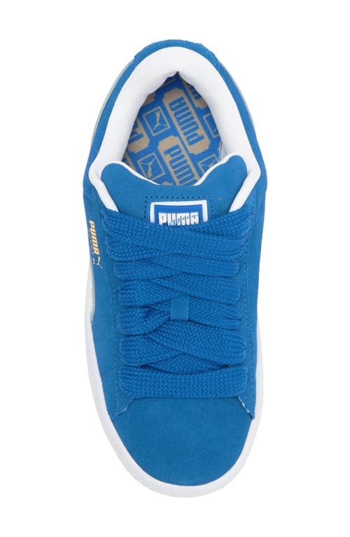 Shop Puma Kids' Suede Xl Sneaker In  Team Royal- White