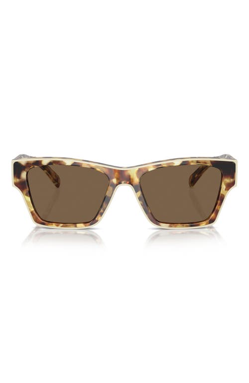53mm Rectangular Sunglasses in Dark Brown