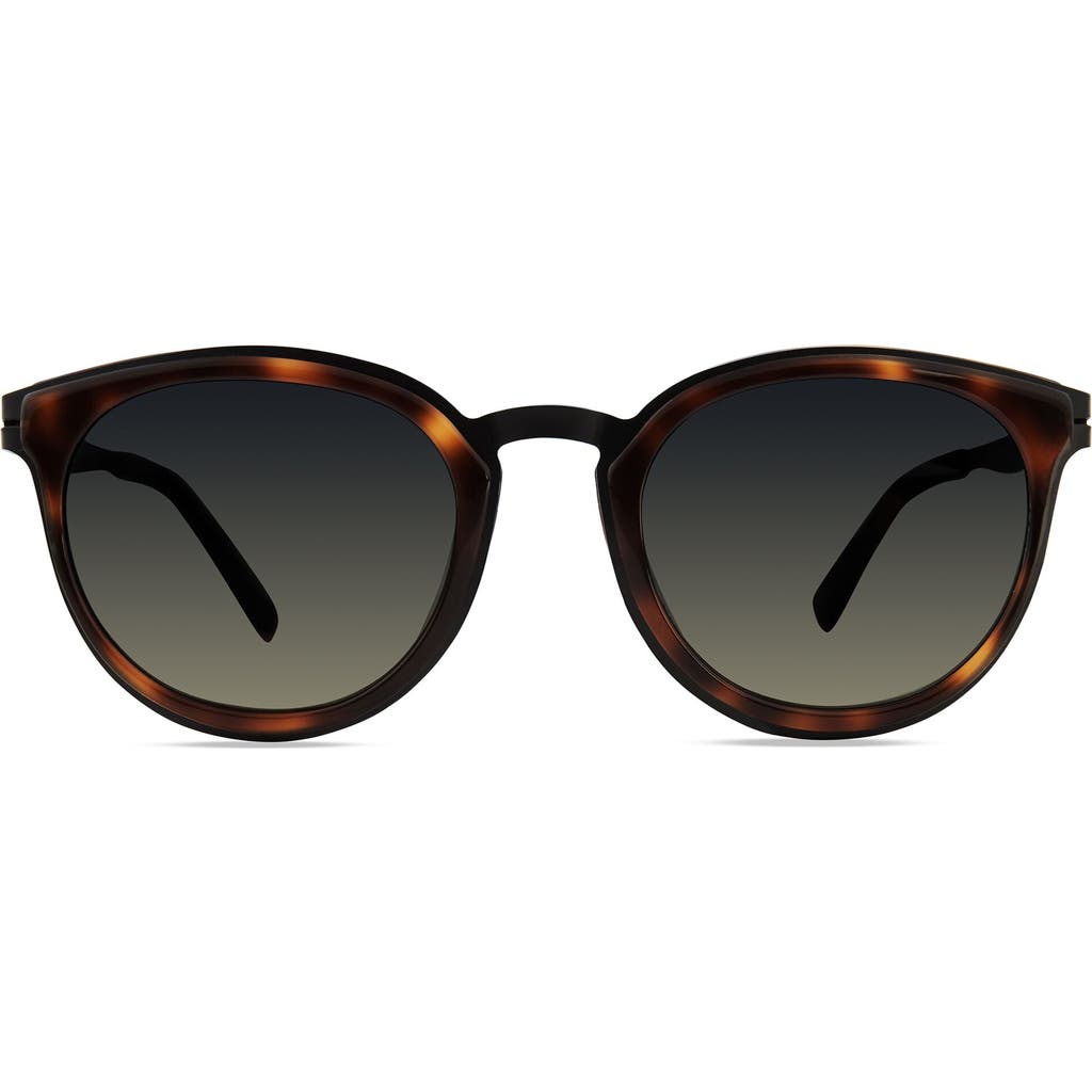 Modo 453 Sunglasses In Tortoise