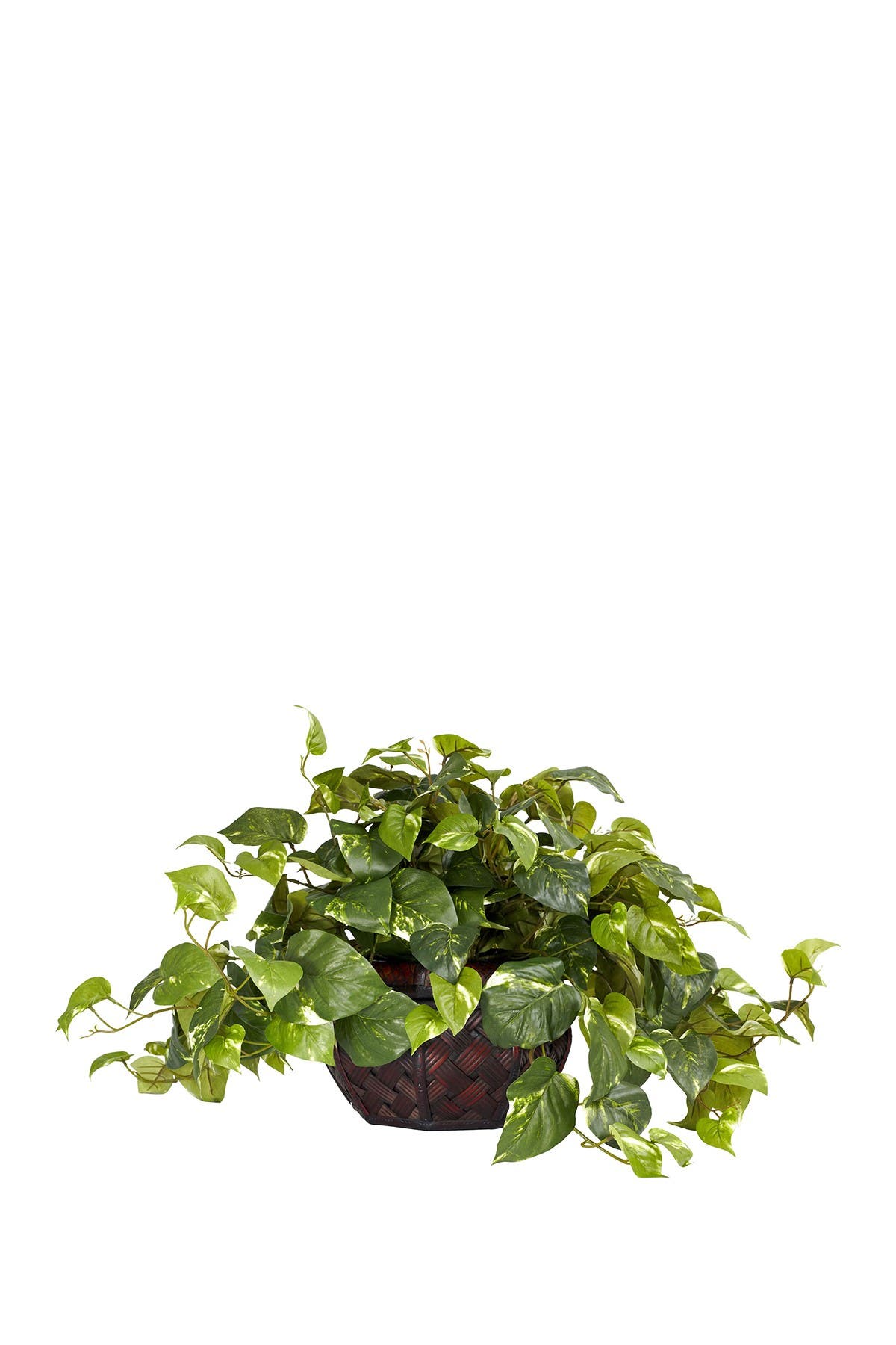 NEARLY NATURAL POTHOS WITH DECORATIVE VASE SILK PLANT,810709014600