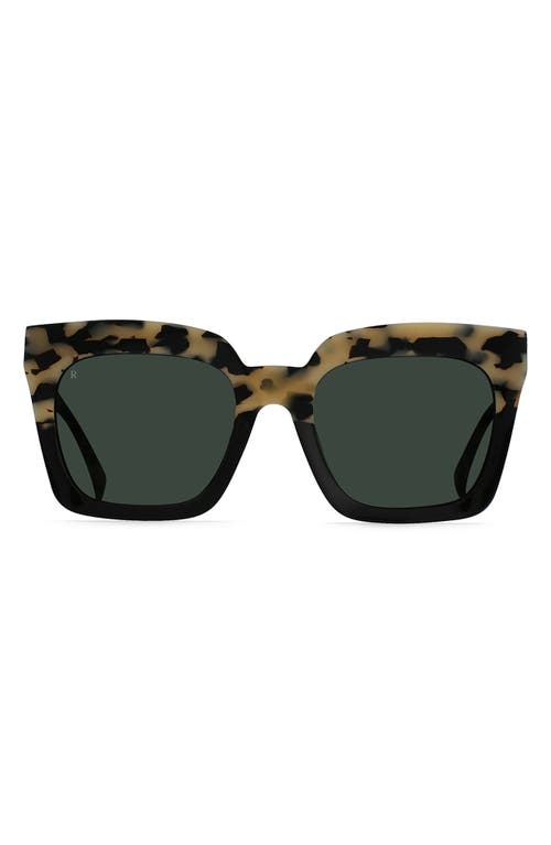 Vine 54mm Square Sunglasses in Chai/Green