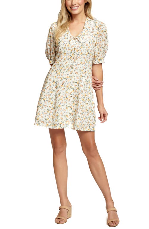 Lost + Wander Floral Occasion Minidress in Ivory Floral Stripe
