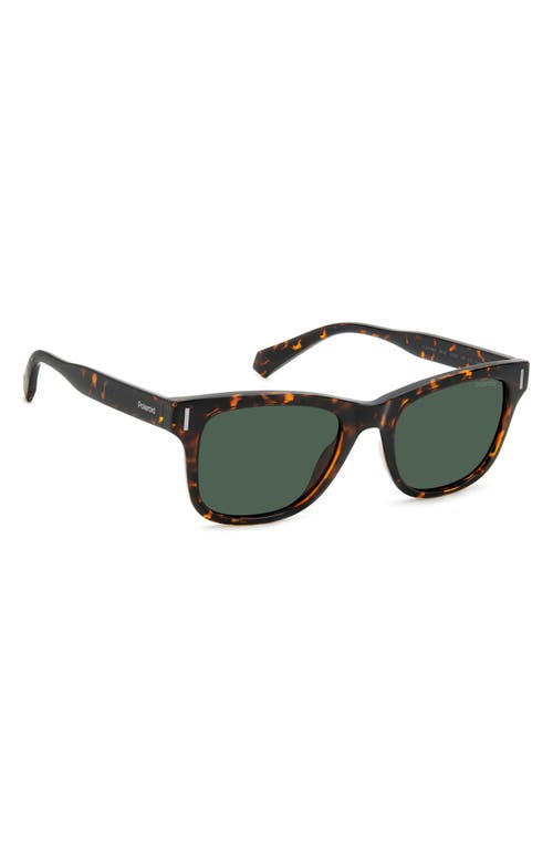 Shop Polaroid 51mm Polarized Square Sunglasses In Havana/green Polarized