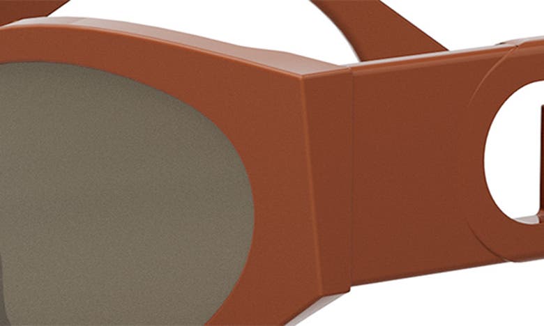 Shop Fendi The  O'lock 54mm Cat Eye Sunglasses In Dark Brown/ Other / Brown