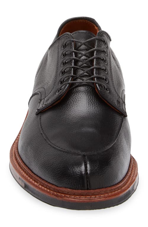Alden Shoe Company Alden Apron Toe Blucher In Black