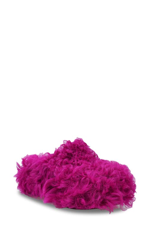 Zigi Jincy Faux Shearling Clog In Fuschia