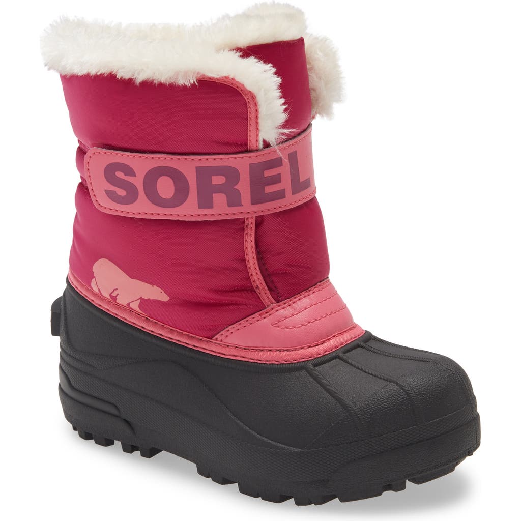 Sorel Snow Commander Insulated Waterproof Boot In Tropic Pink/deep Blush