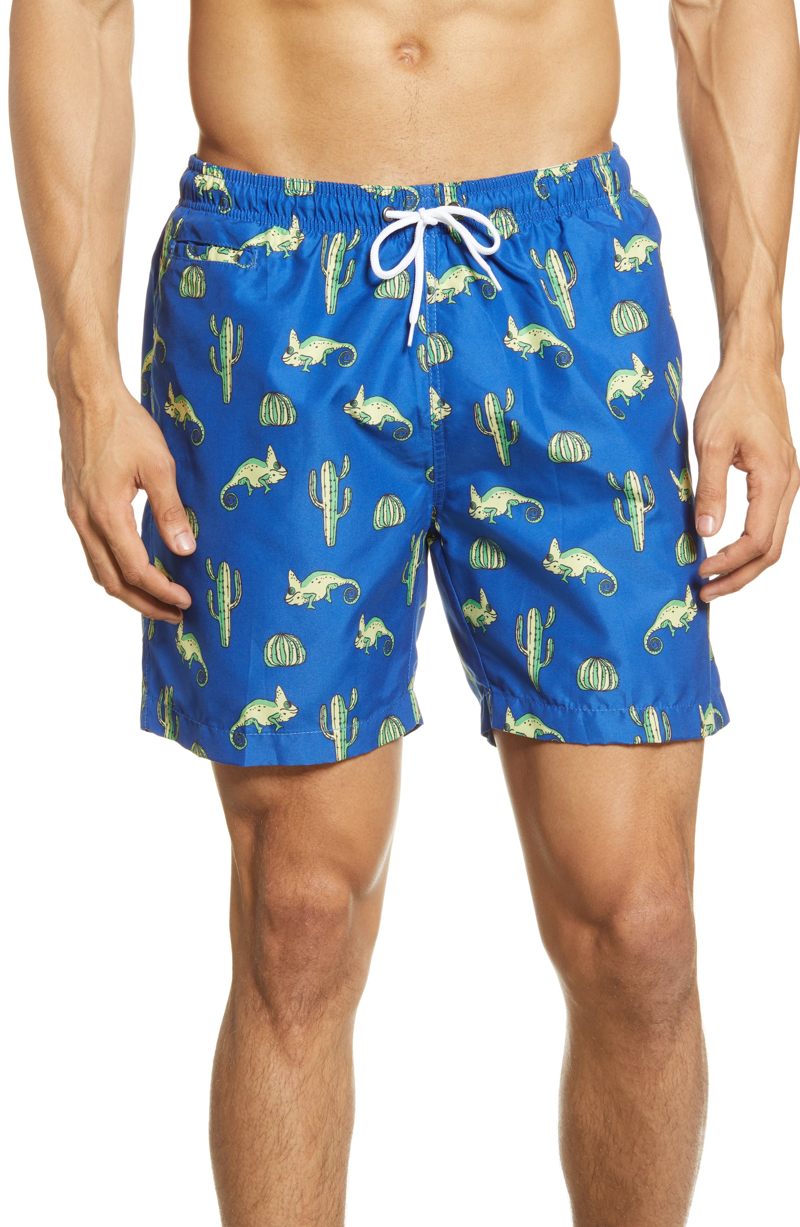 mens bathing suits brands