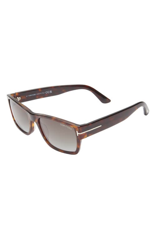 Tom Ford 56mm Rectangle Sunglasses In Dark Havana/smoke