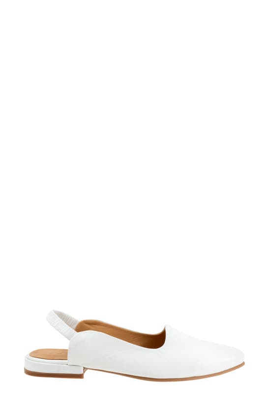 Shop Bueno Indie Slingback Pointed Toe Flat In White
