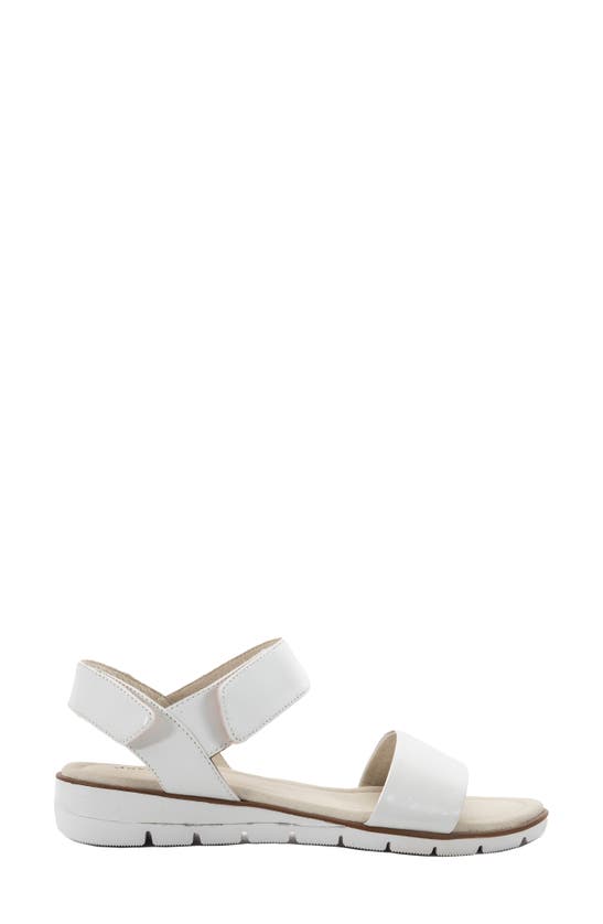 Shop David Tate Scala Slingback Sandal In White