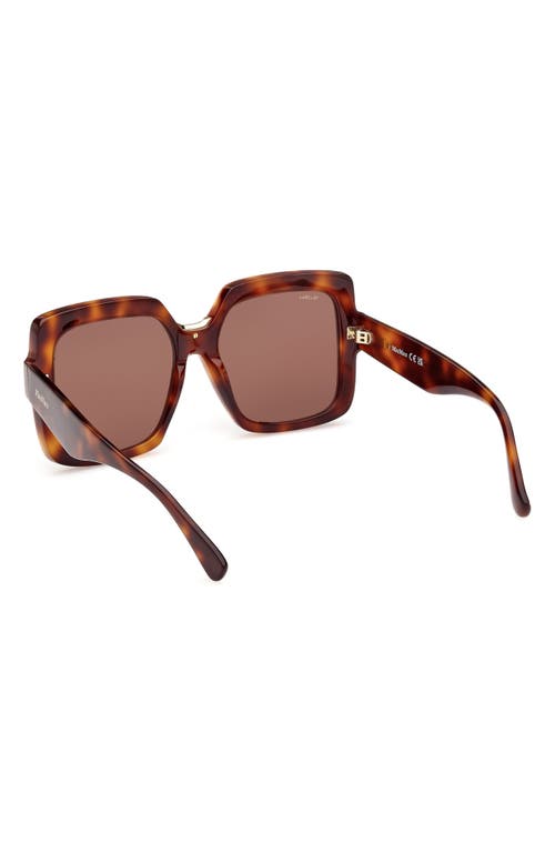 Shop Max Mara Ernest 56mm Square Sunglasses In Dark Havana/brown