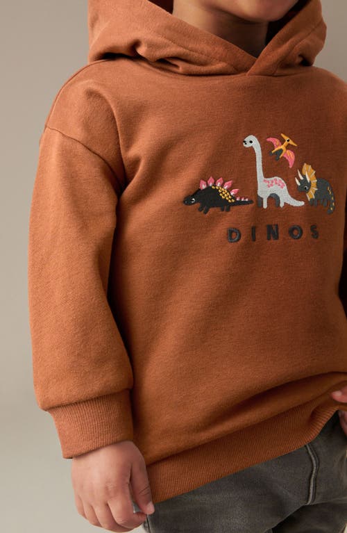 Shop Next Kids' Dinosaur Embroidered Graphic Hoodie In Brown