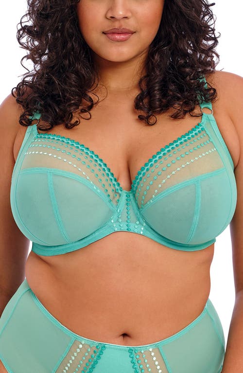 Elomi Matilda Full Figure Underwire Plunge Bra at Nordstrom,