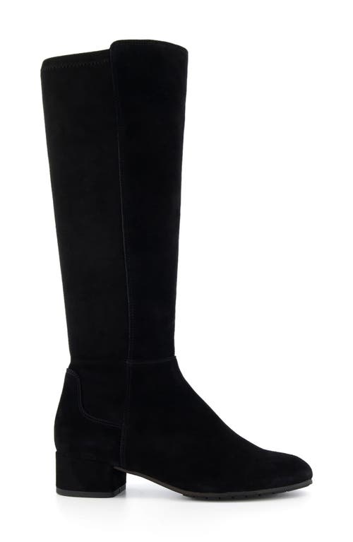 Dune London Tayla Knee High Boot In Black Suede