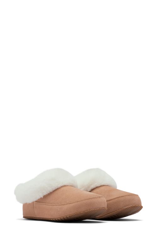 SOREL Go Coffee Run Faux Fur Slipper in Tawny Buff Natural at Nordstrom, Size 9