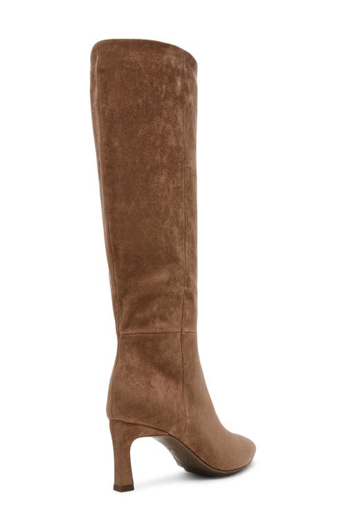 Shop Anne Klein Rene Pointed Toe Knee High Boot In Truffle