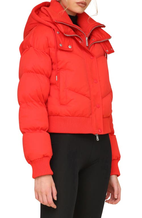 Shop Avec Les Filles Thermalpuff™ Crop Puffer Jacket With Rib Bib In Maraschino