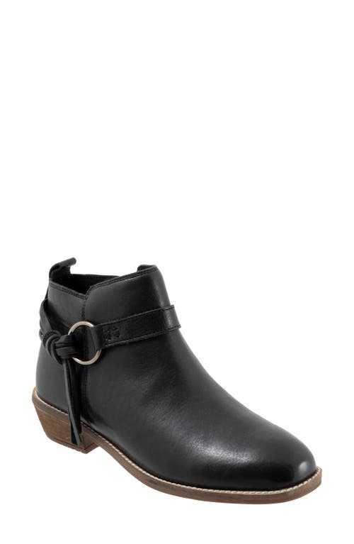 SoftWalk Reade Bootie Black at Nordstrom,