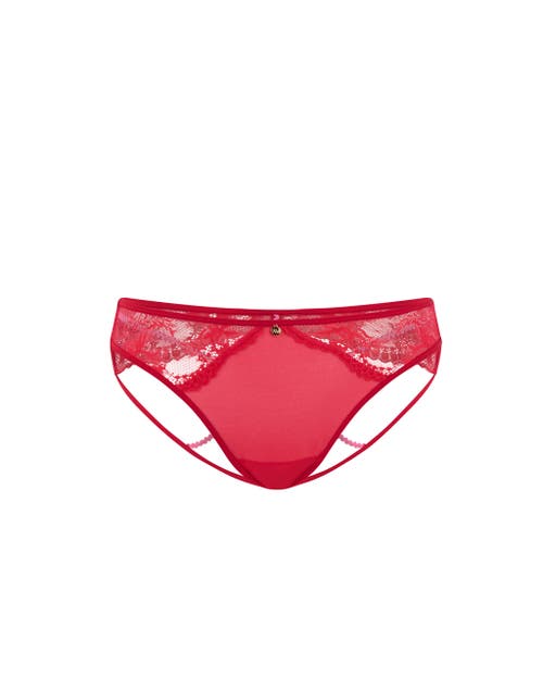 Adore Me Suki Cheeky Panties In Dark Red