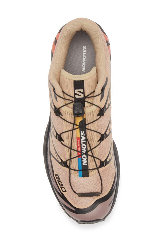 Shop Salomon Gender Inclusive Xt-6 Sneaker In Hazelnut/quail/living Coral