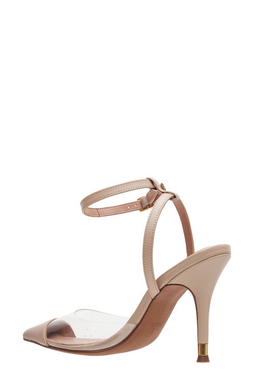 Linea Paolo Yuki Pointed Toe Pump In Clear/nude