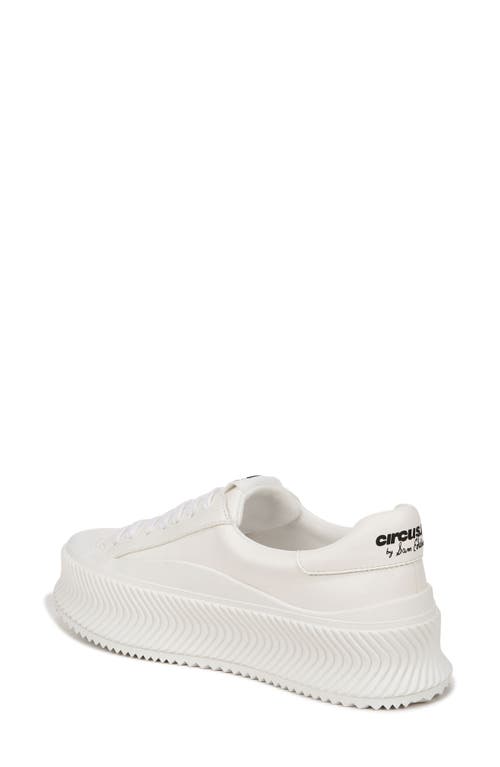 Circus Ny By Sam Edelman Tatum Platform Sneaker In White