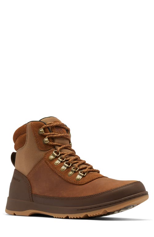 Shop Sorel Ankeny Ii Waterproof Hiking Boot In Velvet Tan/tobacco