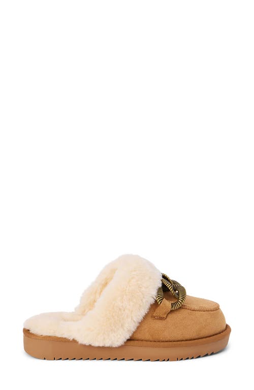 Shop Coconuts By Matisse Taos Faux Fur Slipper In Chestnut