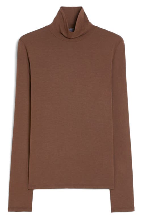 Weekend Max Mara Multif Turtleneck Sweater In Brown