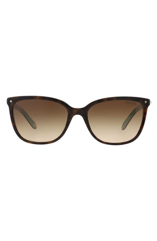 Tiffany & Co . 55mm Mirrored Square Sunglasses In Black