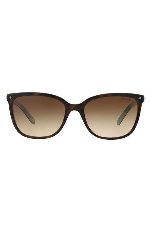 Tiffany & Co . 55mm Mirrored Square Sunglasses In Havana/blue/brown Gradient