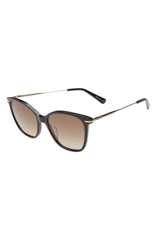 Shop Longchamp 54mm Gradient Cat Eye Sunglasses In Black/khaki Gradient