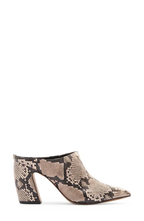 STEVEN NEW YORK STEVEN NEW YORK LEANNE POINTED TOE MULE 