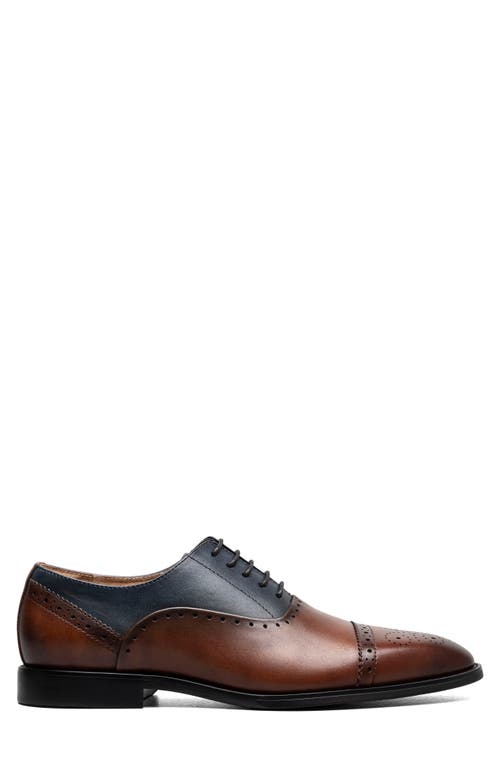 Stacy Adams Reynolds Cap Toe Oxford In Brown/ Navy