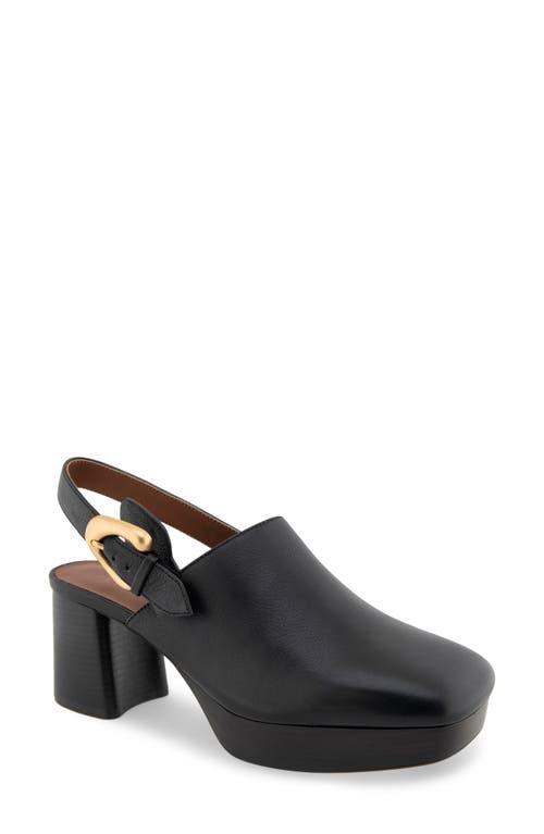 Shop Aerosoles Sumari Slingback Platform Clog In Black Leather