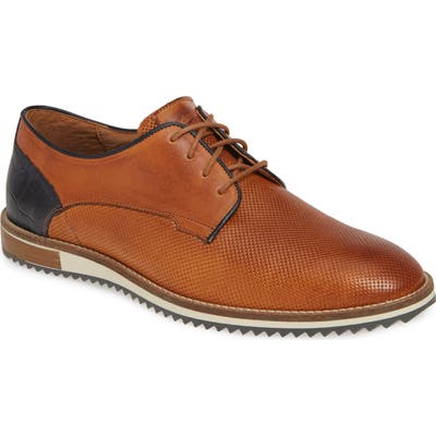 Cycleur De Luxe Plus Plain Toe Derby, Brown