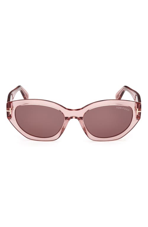 TOM FORD Penny 55mm Geometric Sunglasses in Shiny Dusty Rose /Brown at Nordstrom