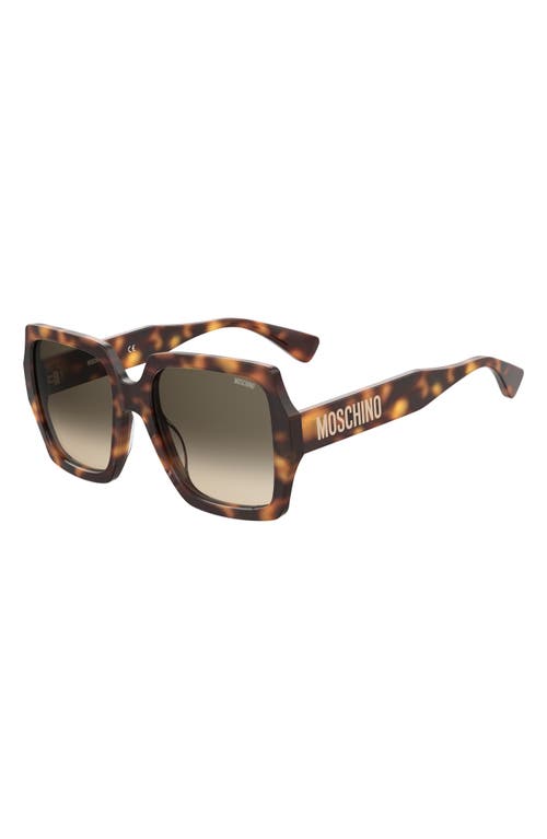 Shop Moschino 56mm Gradient Square Sunglasses In Havana 2/green Shaded