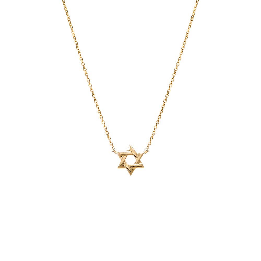 BY ADINA EDEN Mini Solid Star Of David Necklace 14K in 14K Gold Cover