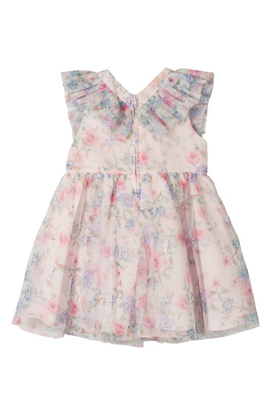 Shop Rare Editions Kids' Floral Mesh Dress In Blush