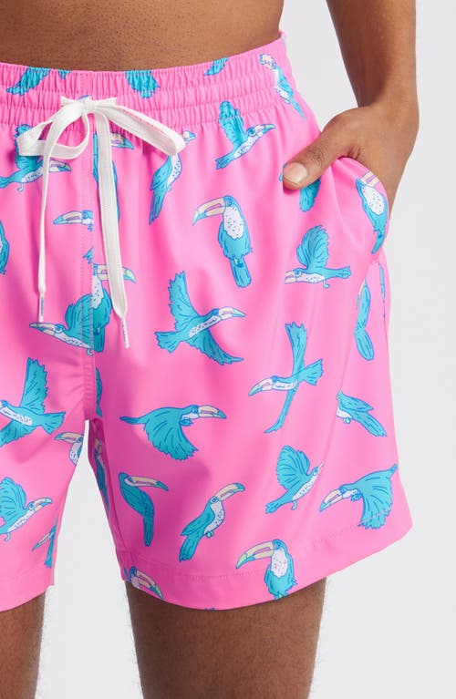 Shop Chubbies Classic Lined 5.5-inch Swim Trunks In The Toucan Do Its