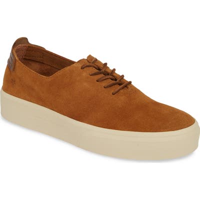 Frye Beacon Sneaker- Brown