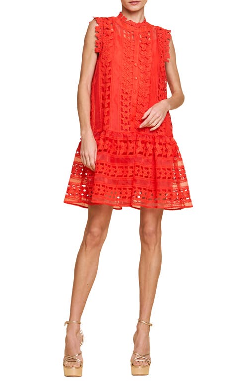 Cara Butterfly Lace Shift Dress in Coral